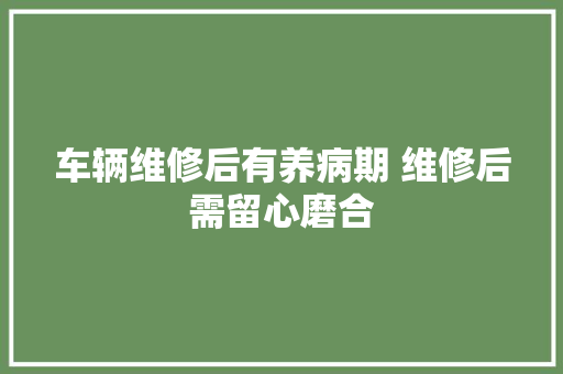 车辆维修后有养病期 维修后需留心磨合 汽车知识