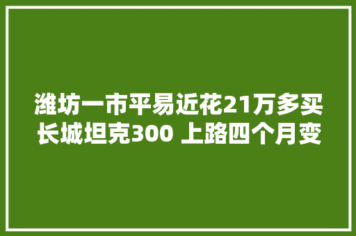 潍坊一市平易近花21万多买长城坦克300 上路四个月变速箱漏油了