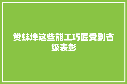 赞蚌埠这些能工巧匠受到省级表彰