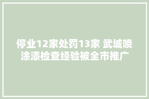 停业12家处罚13家 武城喷涂漆检查经验被全市推广