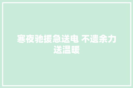 寒夜驰援急送电 不遗余力送温暖