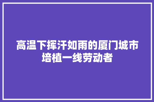 高温下挥汗如雨的厦门城市培植一线劳动者