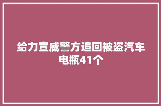 给力宣威警方追回被盗汽车电瓶41个
