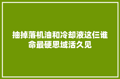 抽掉落机油和冷却液这仨谁命最硬思域活久见