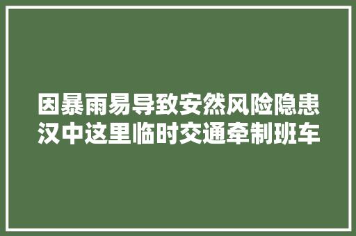因暴雨易导致安然风险隐患汉中这里临时交通牵制班车暂停→