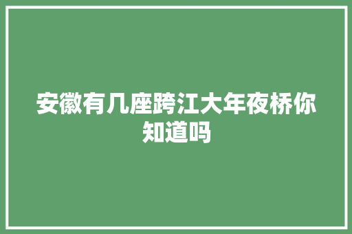 安徽有几座跨江大年夜桥你知道吗
