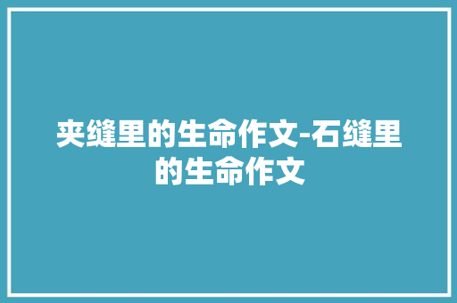 夹缝里的生命作文-石缝里的生命作文