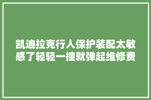 凯迪拉克行人保护装配太敏感了轻轻一撞就弹起维修费上万元
