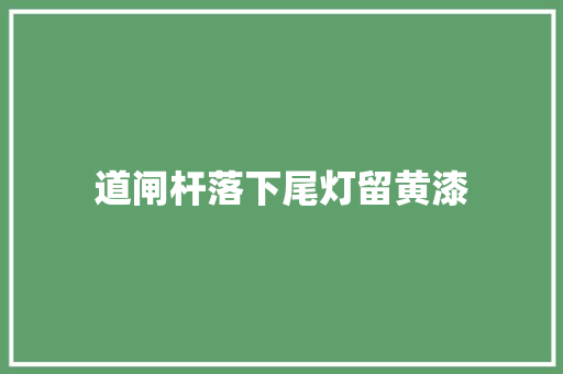 道闸杆落下尾灯留黄漆