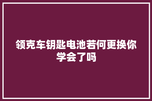 领克车钥匙电池若何更换你学会了吗