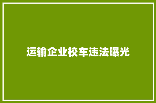运输企业校车违法曝光
