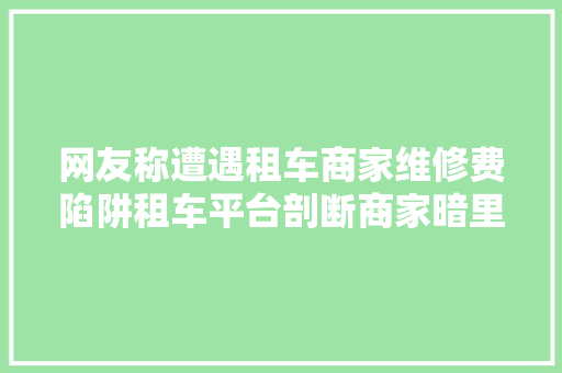 网友称遭遇租车商家维修费陷阱租车平台剖断商家暗里收费已退还用户600元维修费 汽车知识