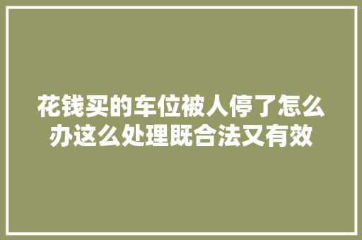 花钱买的车位被人停了怎么办这么处理既合法又有效