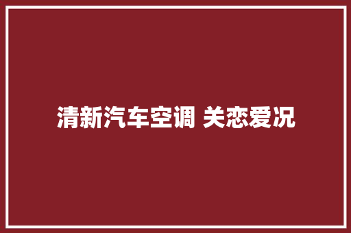 清新汽车空调 关恋爱况