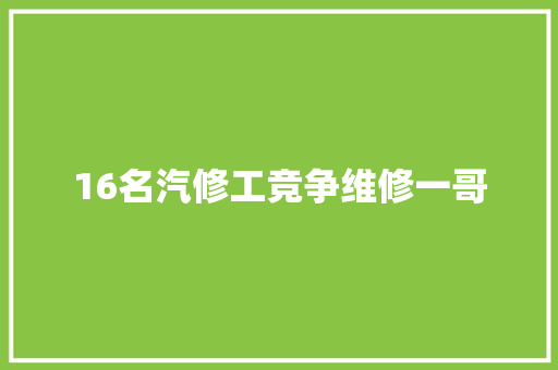 16名汽修工竞争维修一哥
