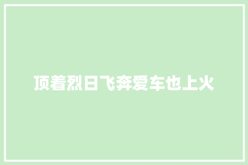 顶着烈日飞奔爱车也上火