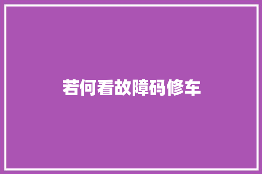 若何看故障码修车