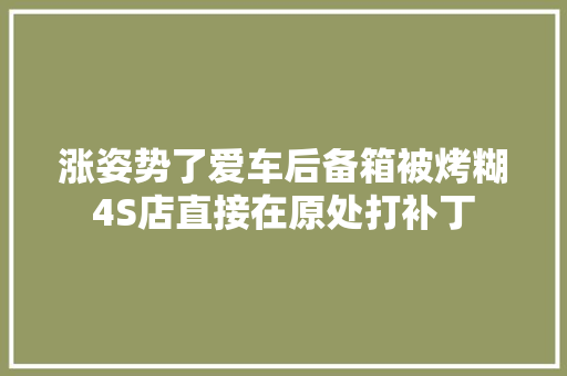 涨姿势了爱车后备箱被烤糊4S店直接在原处打补丁
