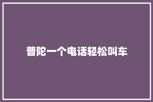 普陀一个电话轻松叫车