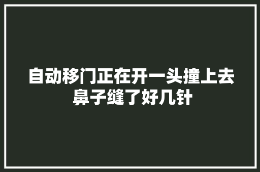 自动移门正在开一头撞上去 鼻子缝了好几针