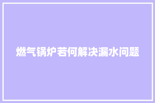 燃气锅炉若何解决漏水问题