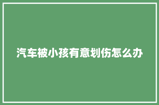 汽车被小孩有意划伤怎么办