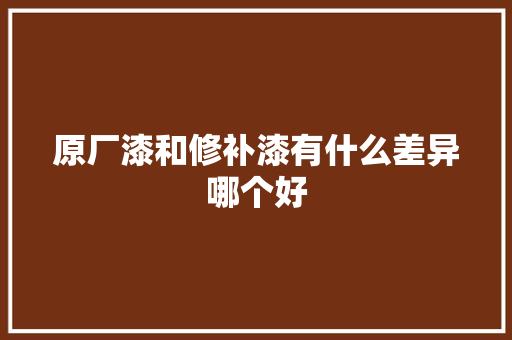 原厂漆和修补漆有什么差异哪个好