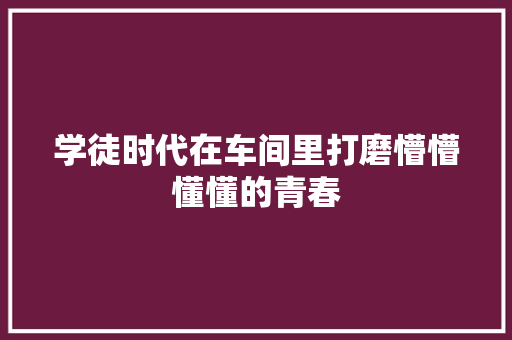 学徒时代在车间里打磨懵懵懂懂的青春