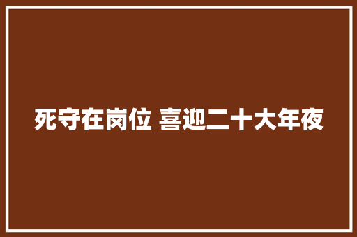 死守在岗位 喜迎二十大年夜