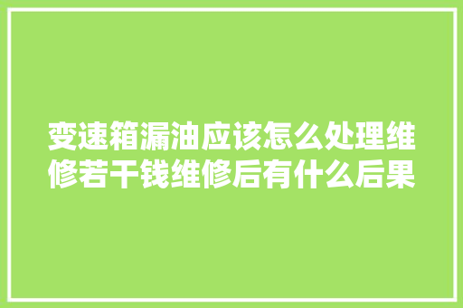 变速箱漏油应该怎么处理维修若干钱维修后有什么后果吗