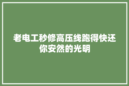 老电工秒修高压线跑得快还你安然的光明