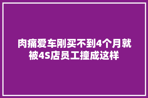 肉痛爱车刚买不到4个月就被4S店员工撞成这样