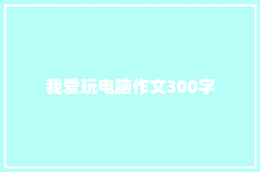 我爱玩电脑作文300字