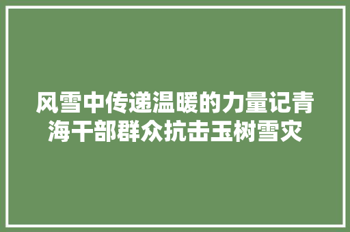 风雪中传递温暖的力量记青海干部群众抗击玉树雪灾