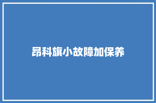 昂科旗小故障加保养