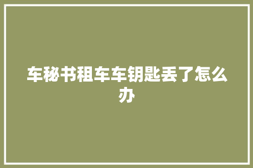 车秘书租车车钥匙丢了怎么办