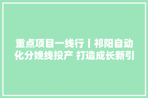 重点项目一线行丨祁阳自动化分娩线投产 打造成长新引擎
