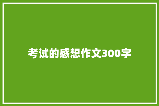考试的感想作文300字
