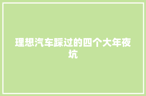 理想汽车踩过的四个大年夜坑
