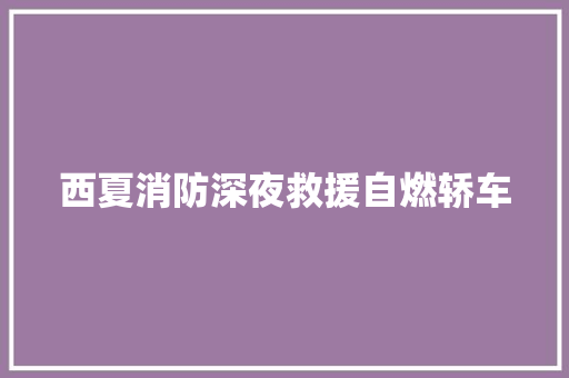 西夏消防深夜救援自燃轿车