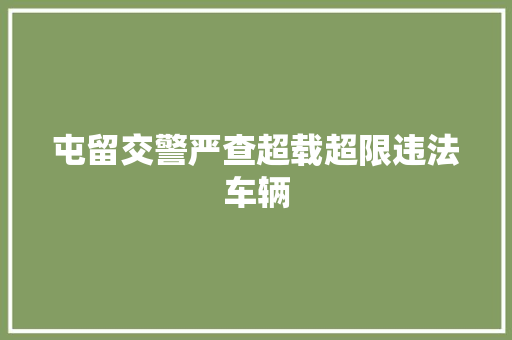 屯留交警严查超载超限违法车辆
