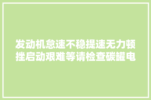发动机怠速不稳提速无力顿挫启动艰难等请检查碳罐电磁阀