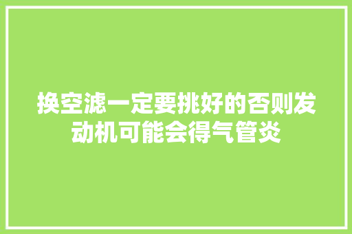 换空滤一定要挑好的否则发动机可能会得气管炎