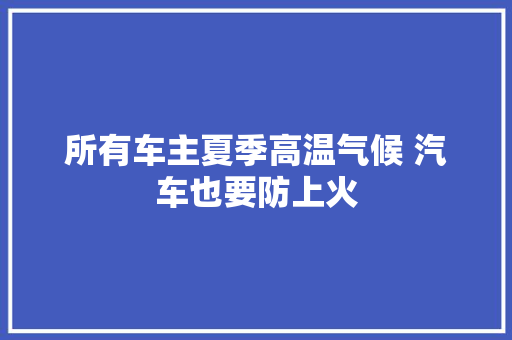 所有车主夏季高温气候 汽车也要防上火
