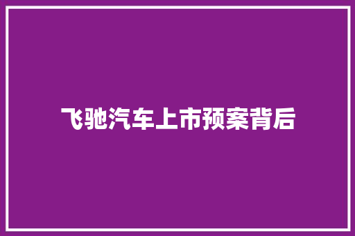 飞驰汽车上市预案背后