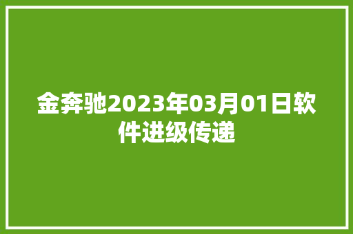 金奔驰2023年03月01日软件进级传递