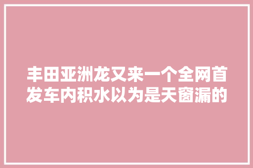 丰田亚洲龙又来一个全网首发车内积水以为是天窗漏的