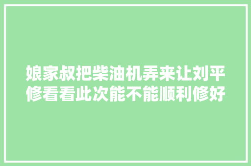 娘家叔把柴油机弄来让刘平修看看此次能不能顺利修好能否启动