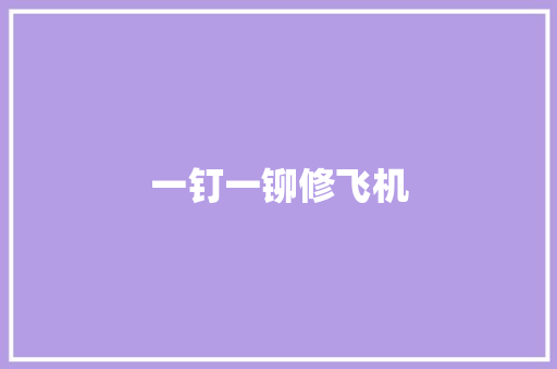 一钉一铆修飞机