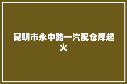 昆明市永中路一汽配仓库起火 汽车知识